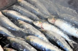 Grilled sardines and - eeek! - Sir Cliff's Onda Nova Verdelho