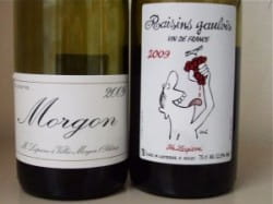 Roast turkey and 2009 Beaujolais