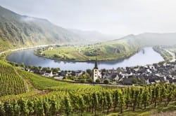 Win a case of gorgeous German riesling and 6 Riedel riesling glasses