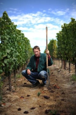 Jamie Goode reviews Jon Bonné's The New California Wine