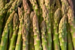 Witbier and asparagus