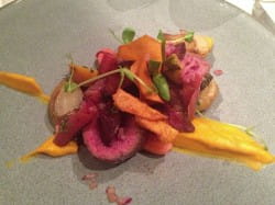 Blesbok loin with root vegetables, num num and 2010 Delaire Graff Botmaskop