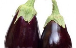 Aubergine (eggplant) and Zinfandel