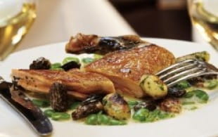 Supreme of guinea fowl with broad beans, fresh morels and herb gnocchi