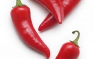 Can any wine survive a Vindaloo?