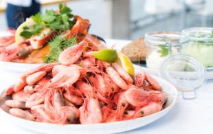 The best wine pairings for prawns or shrimp