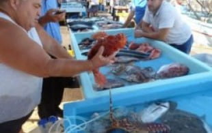 An insider's guide to the fish restaurants of Marseille and Cassis
