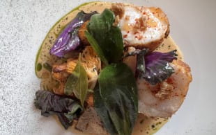 Monkfish and Meursault - and Muscadet, come to that