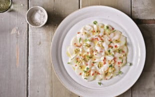 Scallop Ceviche