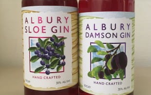 Gin of the month: Albury sloe and damson gins