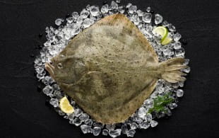 The best wine matches for turbot