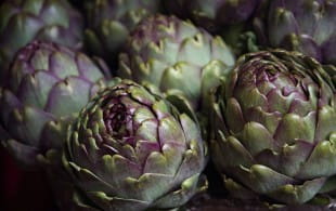 Pairing wine and artichokes