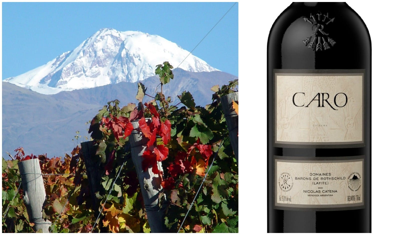 Win a case of Caro - one of Argentina’s finest red wines