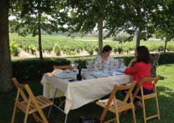 How food can make your wine shine