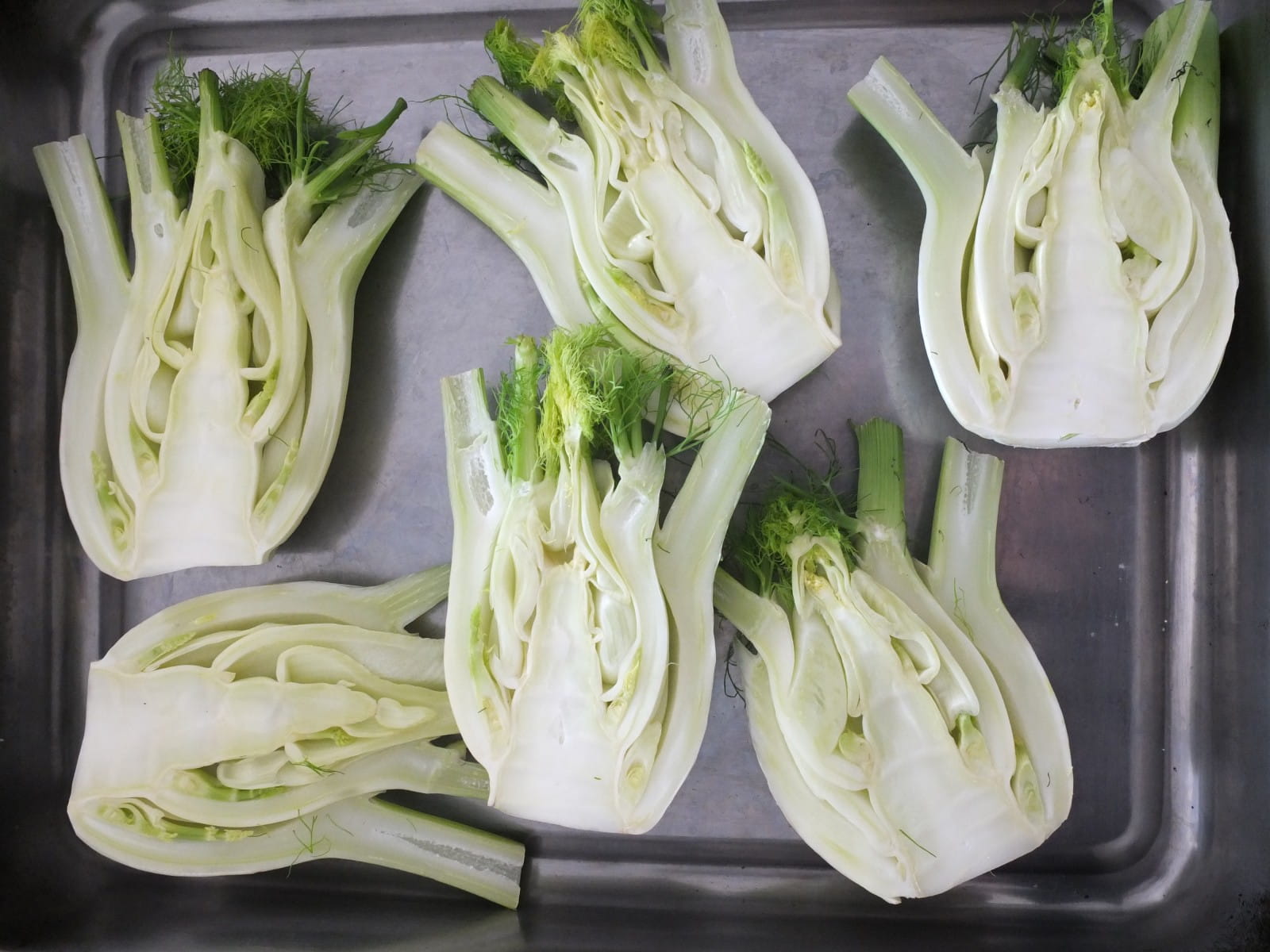Wines to pair with fennel