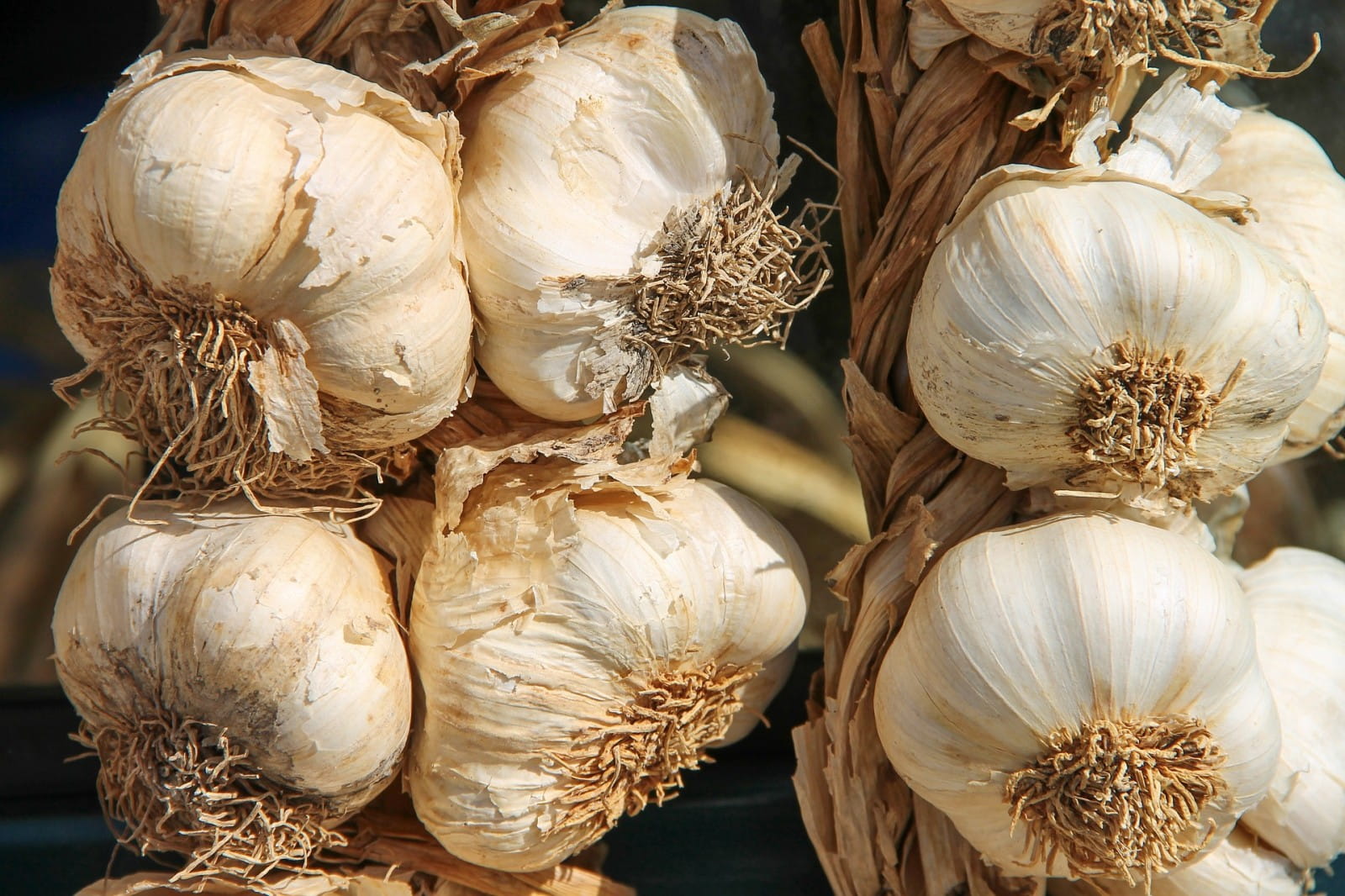 What impact does garlic have on wine pairing?