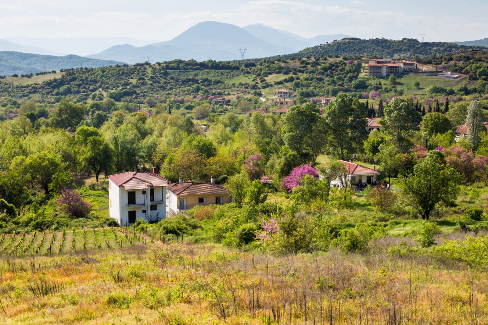 Why Greek wines go with more than just Greek food