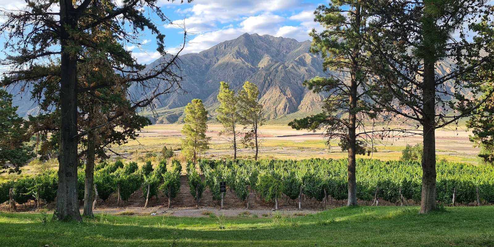 A model wine-pairing experience in Mendoza
