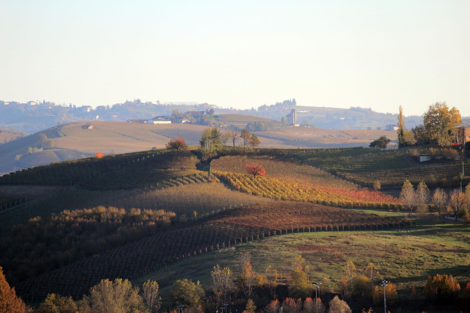 The best food pairings for Barolo and Barbaresco