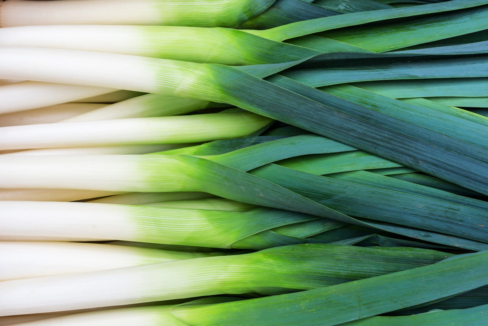 The best wine - and other - pairings for leeks
