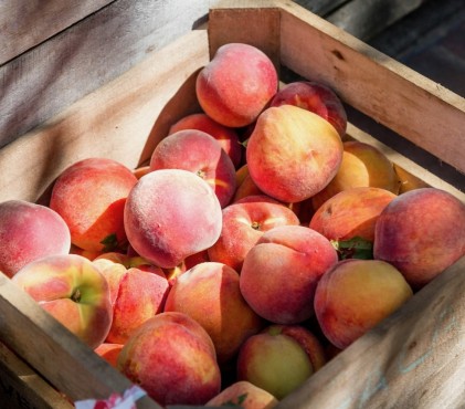 Wine (and other) pairings for peaches and nectarines
