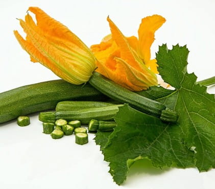  The best wines to pair with courgettes or zucchini