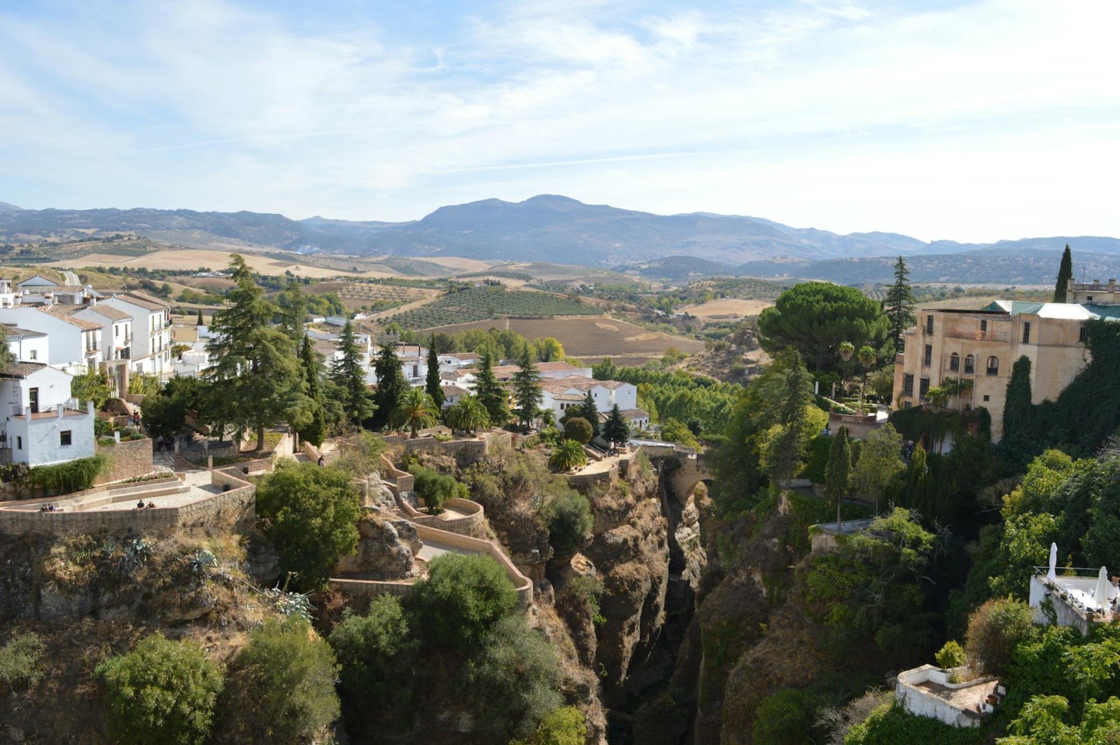 The New Wines of Malaga