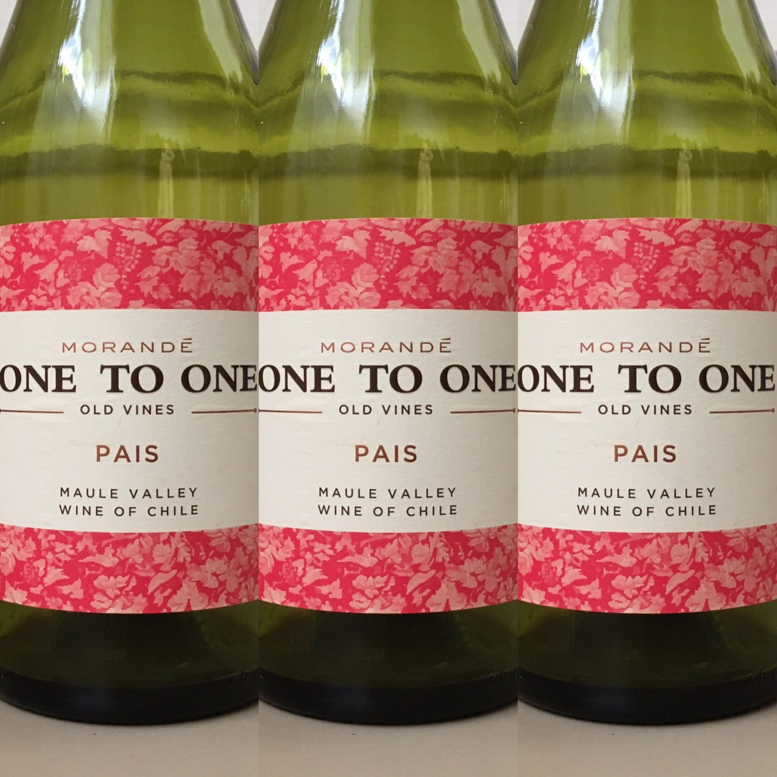  Wine of the week: Morande One to One Pais