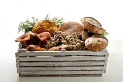 Mushroom risotto with Barbera