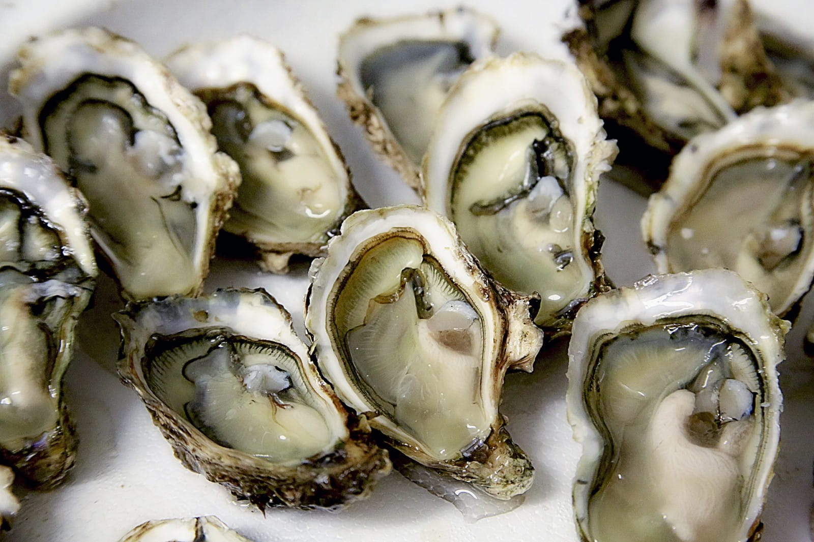 The best wine (and other) pairings with oysters