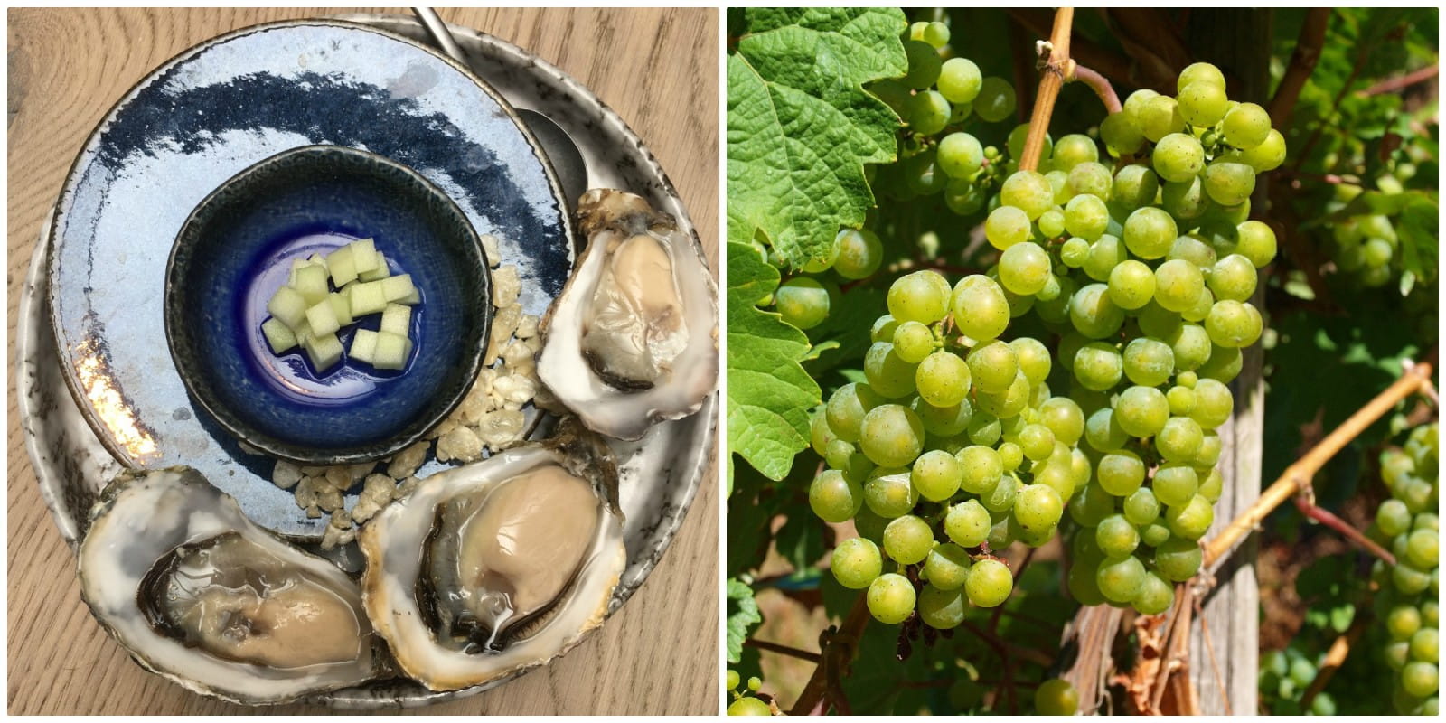Oysters and dry German riesling