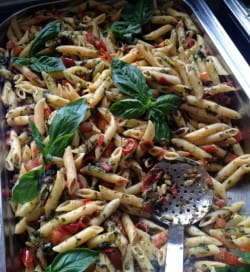 Rheinhessen silvaner and penne with tomatoes and peppers