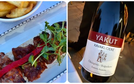 Shish kebab and Turkish red wine