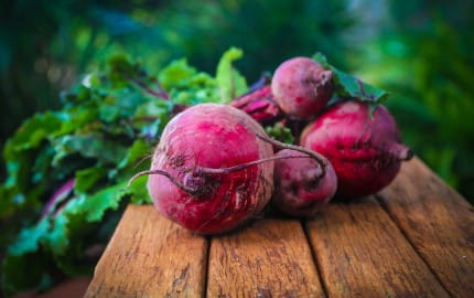 The best wines to pair with beetroot