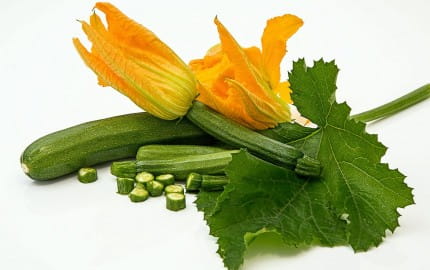  The best wines to pair with courgettes or zucchini