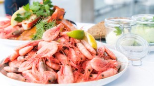 The best wine pairings for prawns or shrimp
