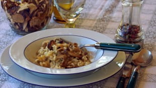 Which wines and beers pair best with mushrooms?