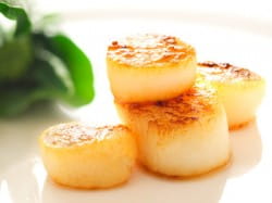 Seared diver-caught scallops and mature white burgundy