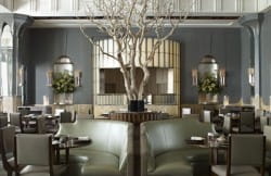 Fera at Claridge's: a restaurant for a big occasion