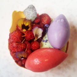 Fruit and flower tart with German auslese riesling