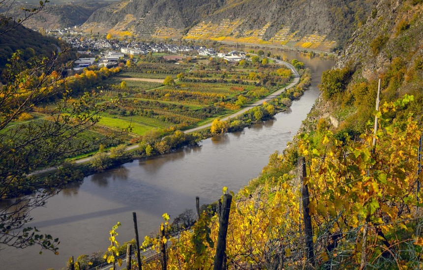 10 top Austrian dry whites - a personal pick