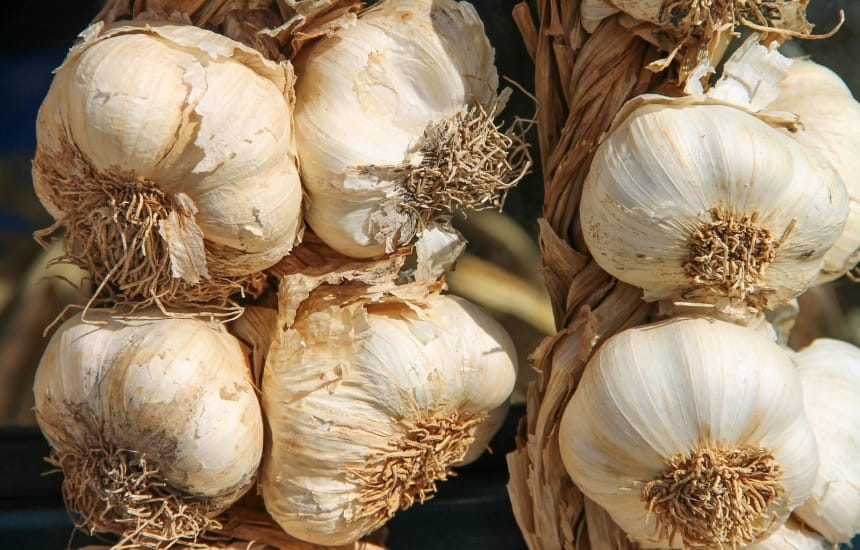 What impact does garlic have on wine pairing?