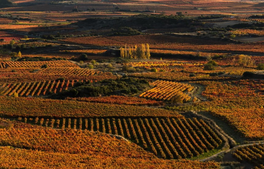 Competitions and offers | Win a case of top quality rioja