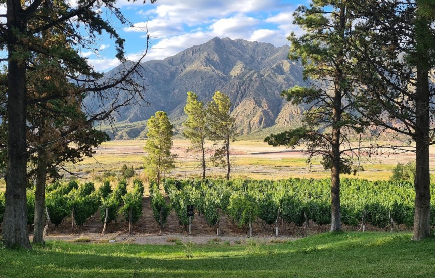 A model wine-pairing experience in Mendoza
