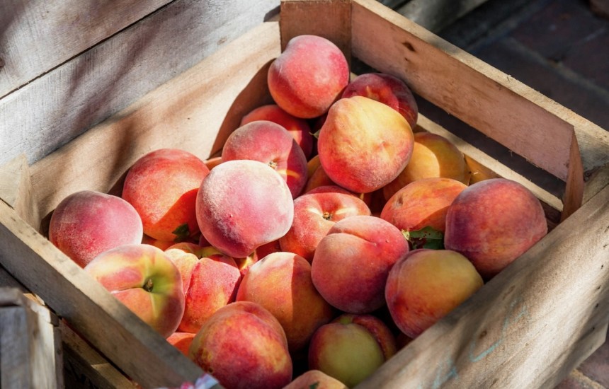 Wine (and other) pairings for peaches and nectarines