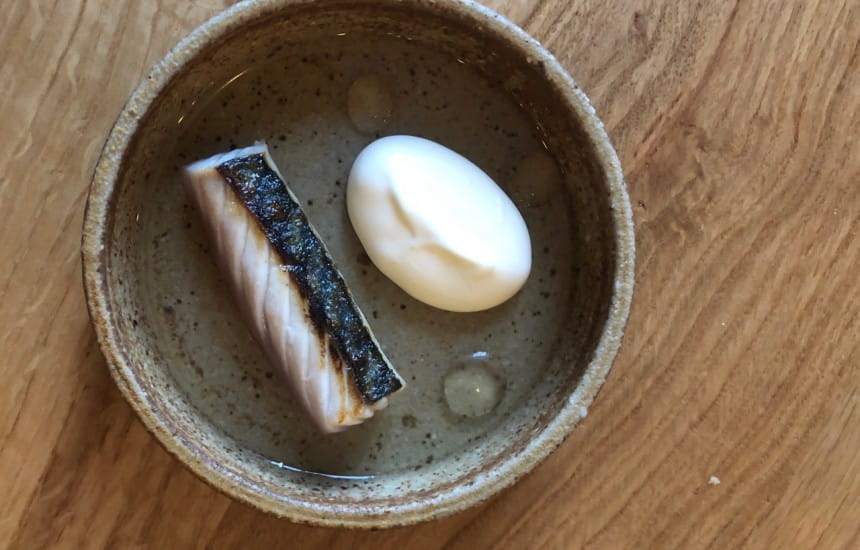 Mackerel and red gooseberry juice