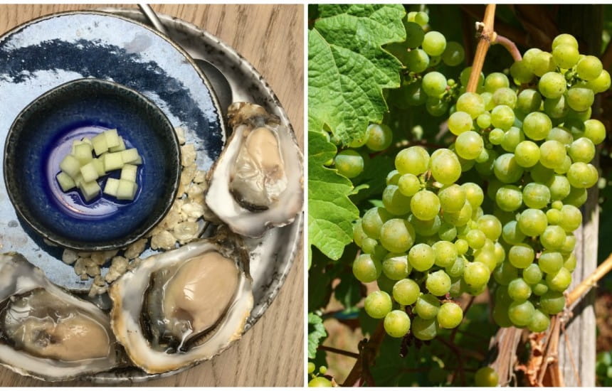 Oysters and dry German riesling