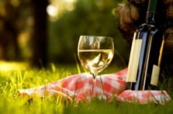 Which wine to take on a picnic?
