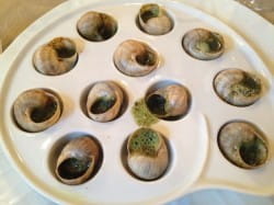 Chablis and snails