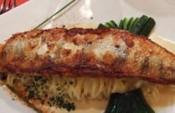 White fish in cream sauce and Alsace Riesling